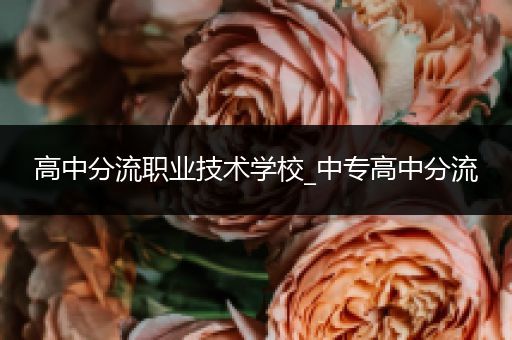 高中分流职业技术学校_中专高中分流