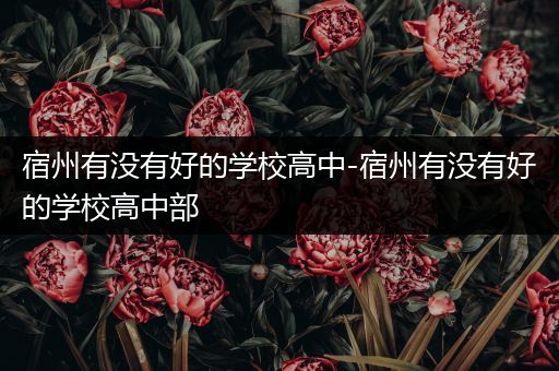 宿州有没有好的学校高中-宿州有没有好的学校高中部