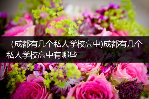 （成都有几个私人学校高中)成都有几个私人学校高中有哪些
