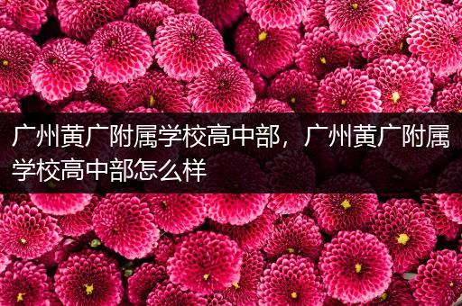 广州黄广附属学校高中部，广州黄广附属学校高中部怎么样