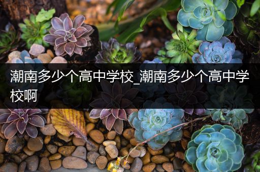 潮南多少个高中学校_潮南多少个高中学校啊