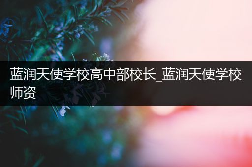蓝润天使学校高中部校长_蓝润天使学校师资
