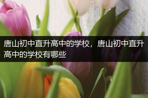 唐山初中直升高中的学校，唐山初中直升高中的学校有哪些