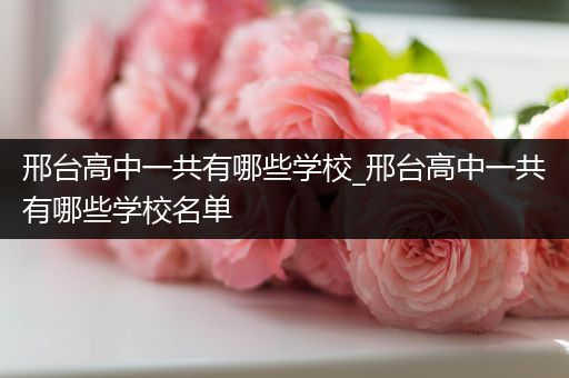 邢台高中一共有哪些学校_邢台高中一共有哪些学校名单