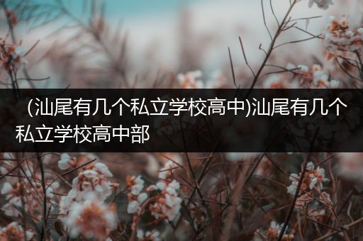 （汕尾有几个私立学校高中)汕尾有几个私立学校高中部