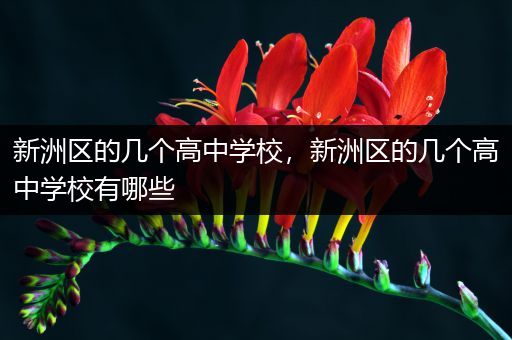 新洲区的几个高中学校，新洲区的几个高中学校有哪些