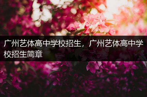 广州艺体高中学校招生，广州艺体高中学校招生简章