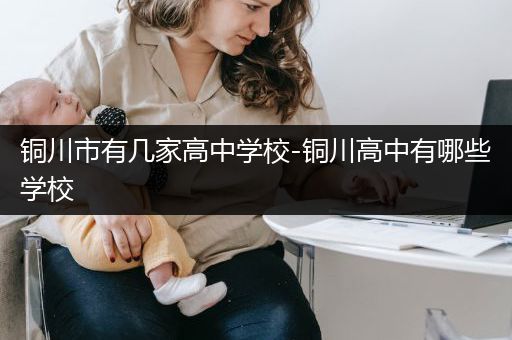 铜川市有几家高中学校-铜川高中有哪些学校