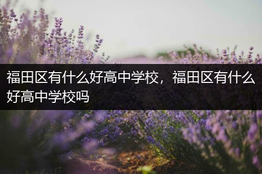 福田区有什么好高中学校，福田区有什么好高中学校吗