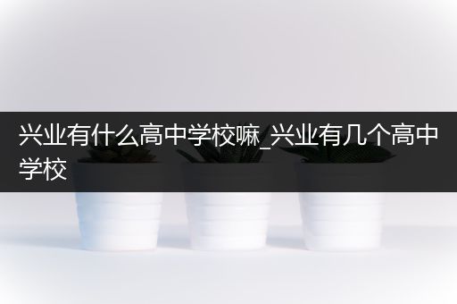 兴业有什么高中学校嘛_兴业有几个高中学校