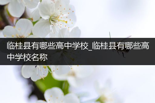 临桂县有哪些高中学校_临桂县有哪些高中学校名称