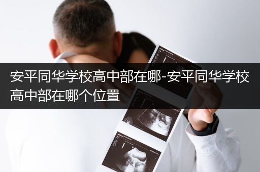安平同华学校高中部在哪-安平同华学校高中部在哪个位置