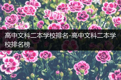 高中文科二本学校排名-高中文科二本学校排名榜