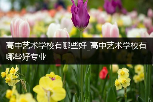 高中艺术学校有哪些好_高中艺术学校有哪些好专业