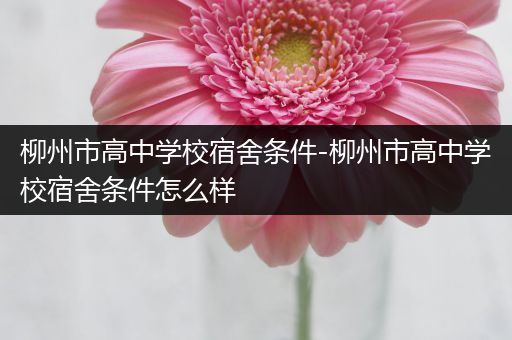 柳州市高中学校宿舍条件-柳州市高中学校宿舍条件怎么样