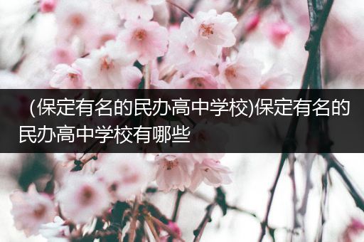 （保定有名的民办高中学校)保定有名的民办高中学校有哪些