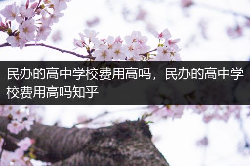 民办的高中学校费用高吗，民办的高中学校费用高吗知乎