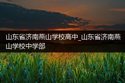 山东省济南燕山学校高中_山东省济南燕山学校中学部