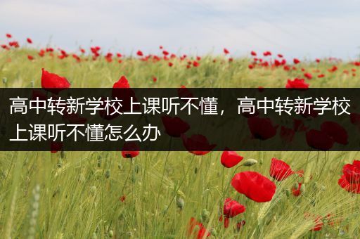 高中转新学校上课听不懂，高中转新学校上课听不懂怎么办