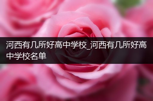 河西有几所好高中学校_河西有几所好高中学校名单