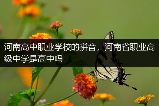 河南高中职业学校的拼音，河南省职业高级中学是高中吗