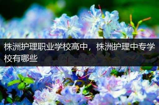 株洲护理职业学校高中，株洲护理中专学校有哪些