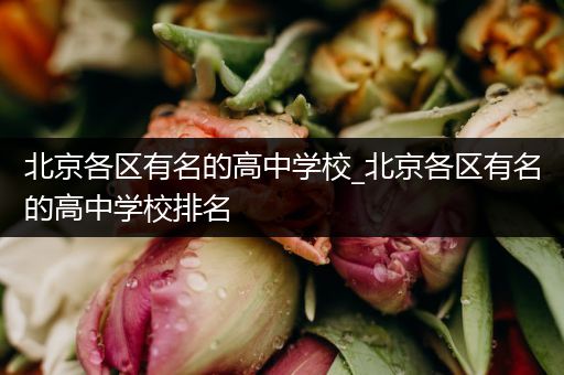 北京各区有名的高中学校_北京各区有名的高中学校排名