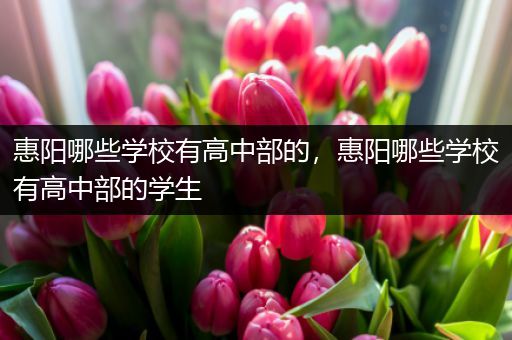 惠阳哪些学校有高中部的，惠阳哪些学校有高中部的学生