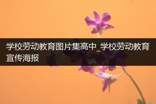 学校劳动教育图片集高中_学校劳动教育宣传海报