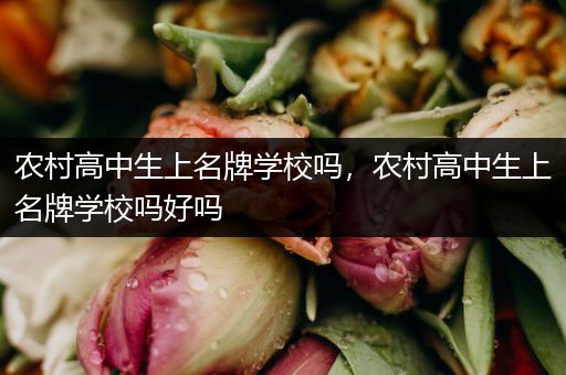 农村高中生上名牌学校吗，农村高中生上名牌学校吗好吗