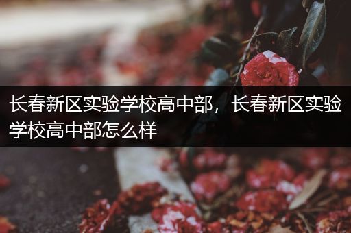 长春新区实验学校高中部，长春新区实验学校高中部怎么样