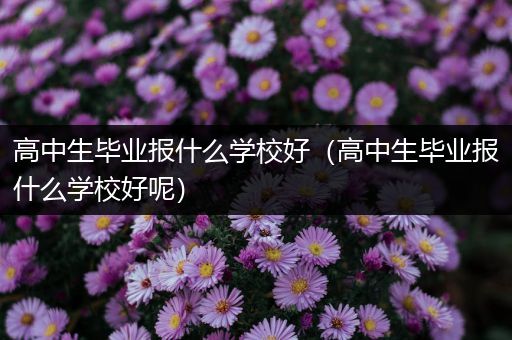 高中生毕业报什么学校好（高中生毕业报什么学校好呢）