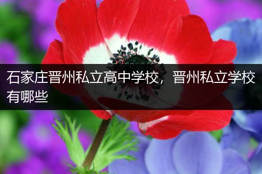 石家庄晋州私立高中学校，晋州私立学校有哪些