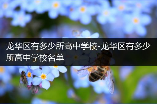龙华区有多少所高中学校-龙华区有多少所高中学校名单