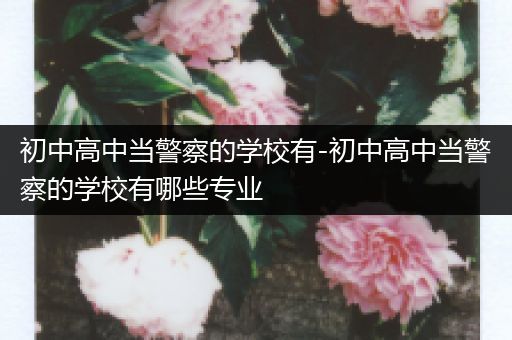 初中高中当警察的学校有-初中高中当警察的学校有哪些专业