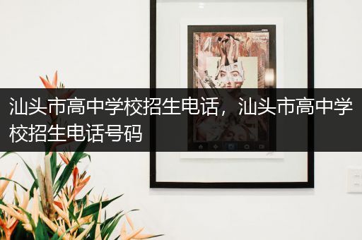 汕头市高中学校招生电话，汕头市高中学校招生电话号码