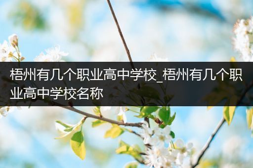 梧州有几个职业高中学校_梧州有几个职业高中学校名称