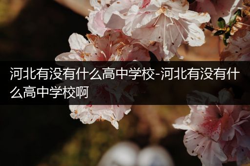 河北有没有什么高中学校-河北有没有什么高中学校啊
