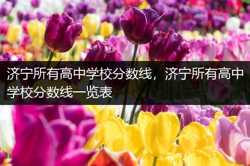 济宁所有高中学校分数线，济宁所有高中学校分数线一览表