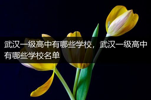 武汉一级高中有哪些学校，武汉一级高中有哪些学校名单