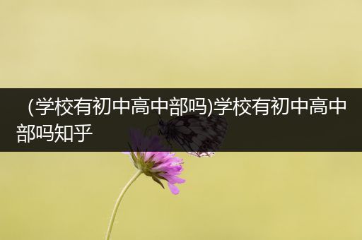 （学校有初中高中部吗)学校有初中高中部吗知乎