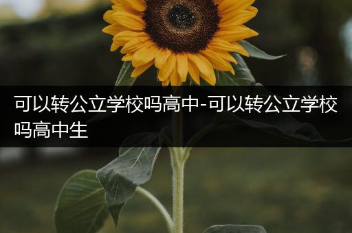 可以转公立学校吗高中-可以转公立学校吗高中生
