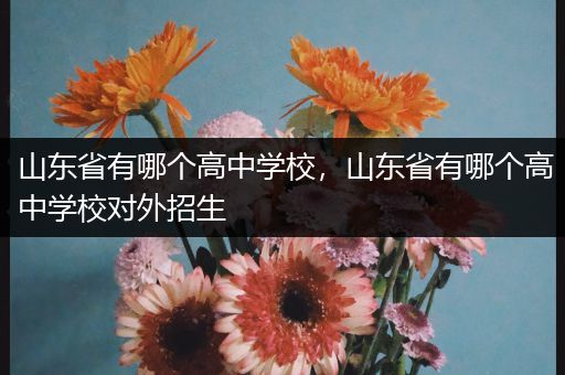 山东省有哪个高中学校，山东省有哪个高中学校对外招生