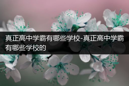 真正高中学霸有哪些学校-真正高中学霸有哪些学校的