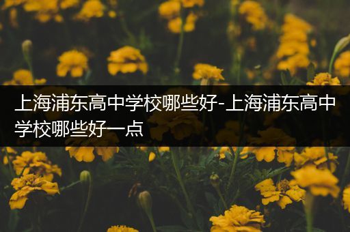 上海浦东高中学校哪些好-上海浦东高中学校哪些好一点