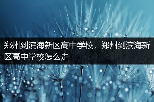 郑州到滨海新区高中学校，郑州到滨海新区高中学校怎么走