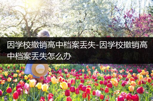 因学校撤销高中档案丢失-因学校撤销高中档案丢失怎么办