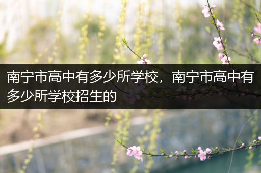 南宁市高中有多少所学校，南宁市高中有多少所学校招生的