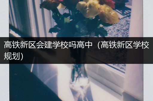 高铁新区会建学校吗高中（高铁新区学校规划）