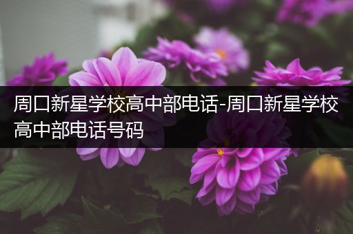 周口新星学校高中部电话-周口新星学校高中部电话号码